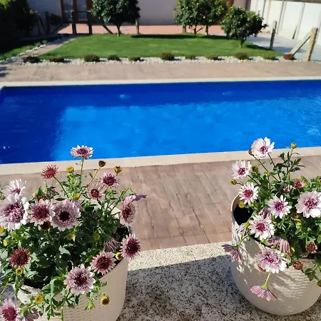 Casa Acogedora Mar De Albarino Con Piscina *